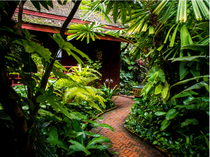 Jim Thompson House - Perfect day in Bangkok