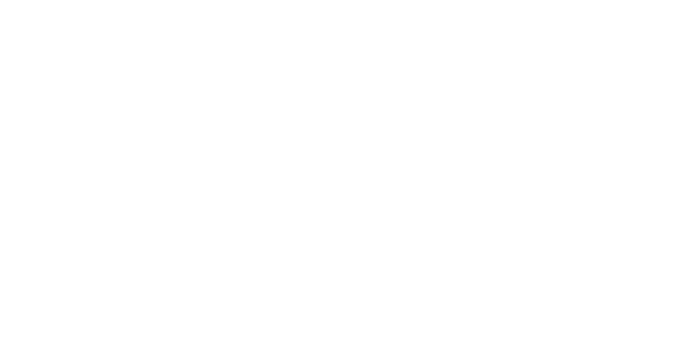 lonely planet logo