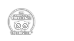 tripadvisor logo