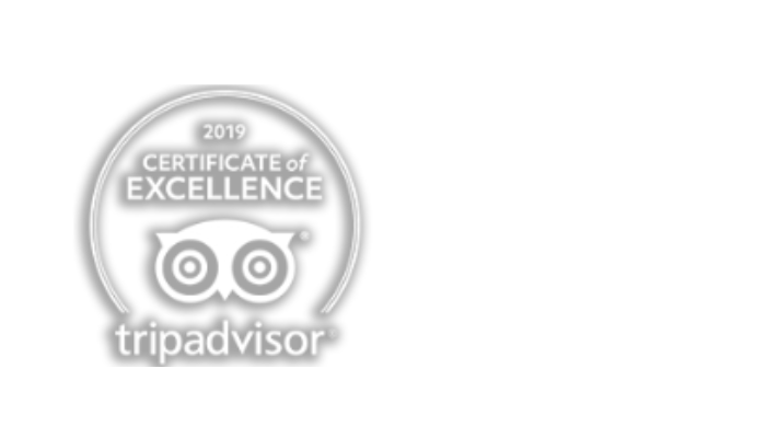 tripadvisor logo