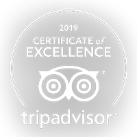 trip-advisor logo